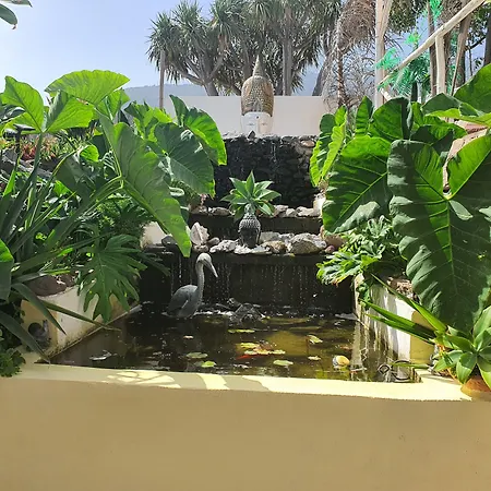 Rural La Raya 1866 Hotel Güímar